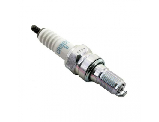 Žvakė NGK CR9EHI-9 6419