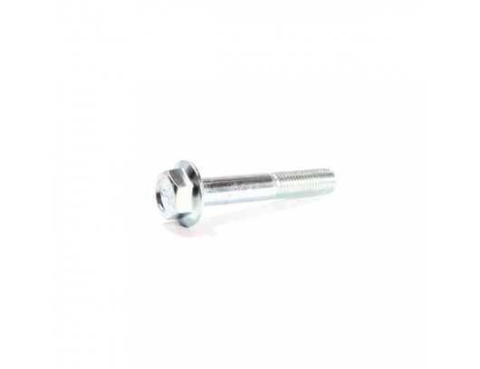 30006-102060110 BOLT